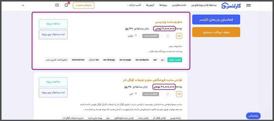 کسب درآمد اینترنتی با خدمات سئو سایت